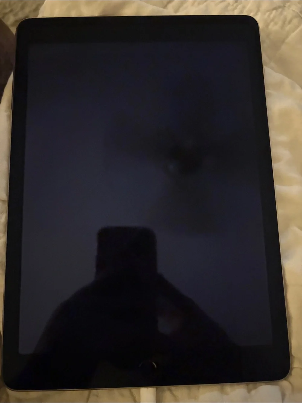 Apple iPad Air 2